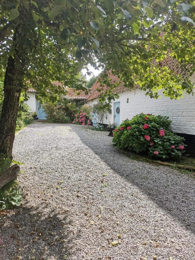 Le Clos De La Rose Gite Bien Etre Wirwignes Exterior foto